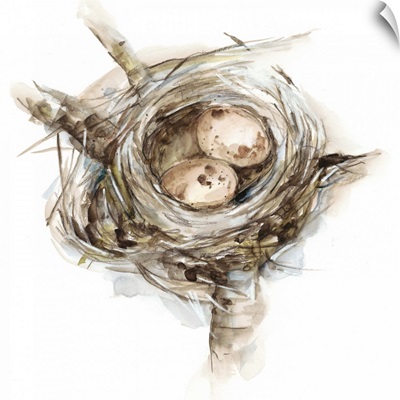Bird Nest Study I