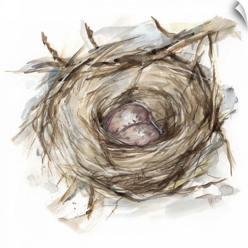 Watercolor painting of a bird's nest with two small brown eggs.