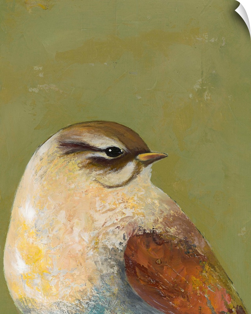 Contemporary painting of a close-up of a garden bird against a green background.