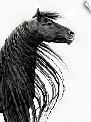 Black And White Horse Portrait II