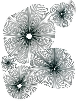Bloom Spiral I