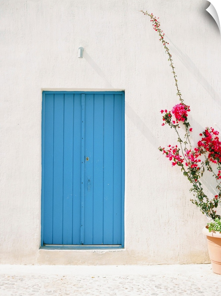 Photograph of a simple, rustic blue door in a mediterranean building, with a planter of tall pink flowers to one side.