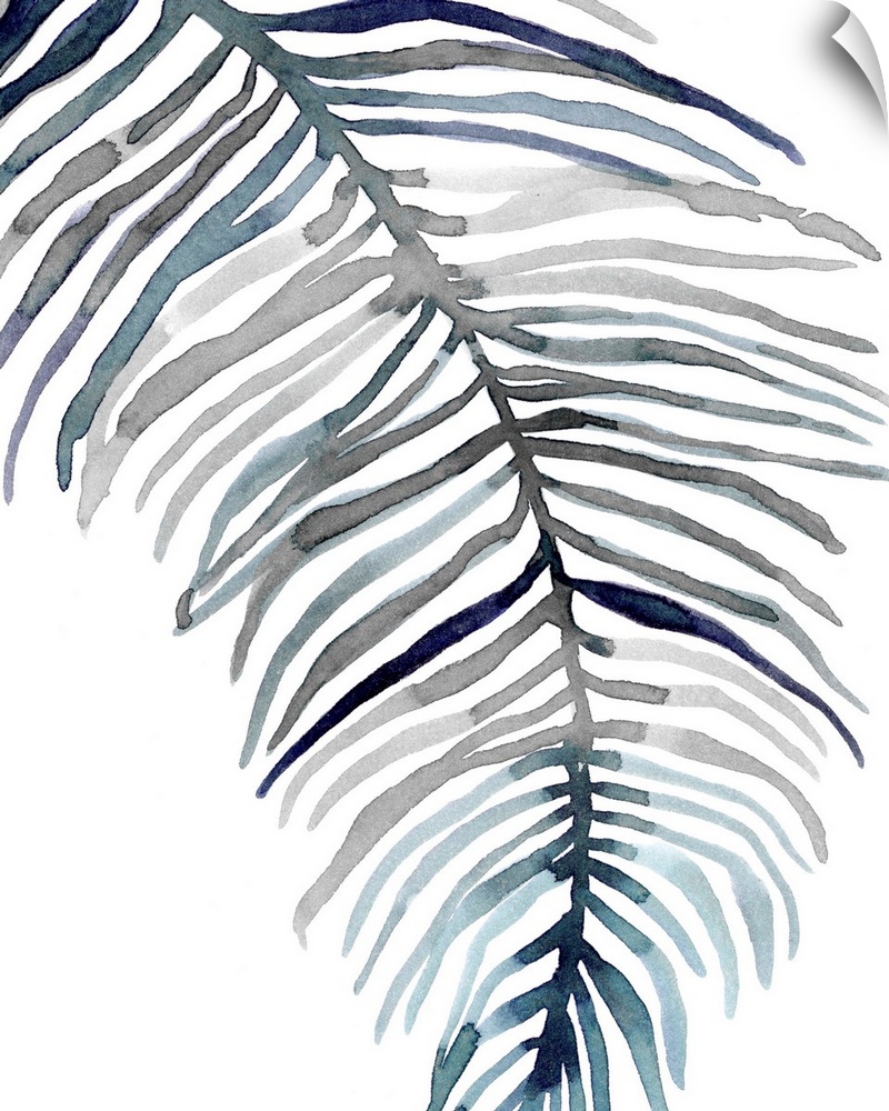 Blue Feathered Palm II