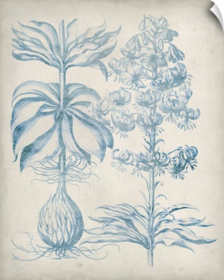 Blue Fresco Floral II