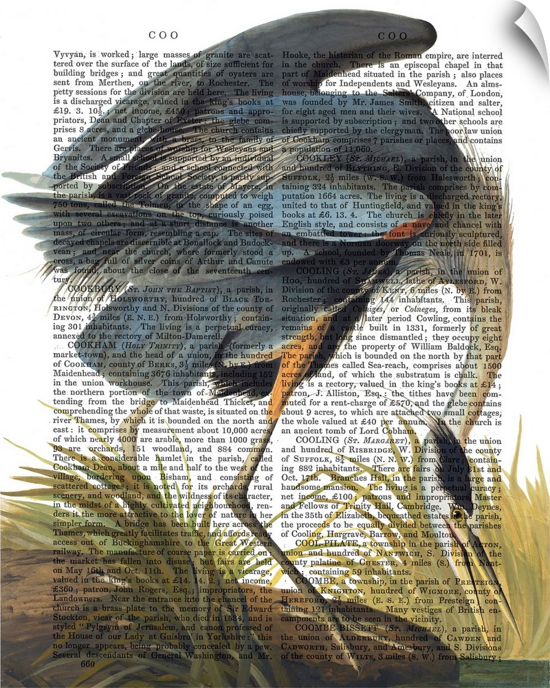 A blue heron painted over a vintage dictionary page.