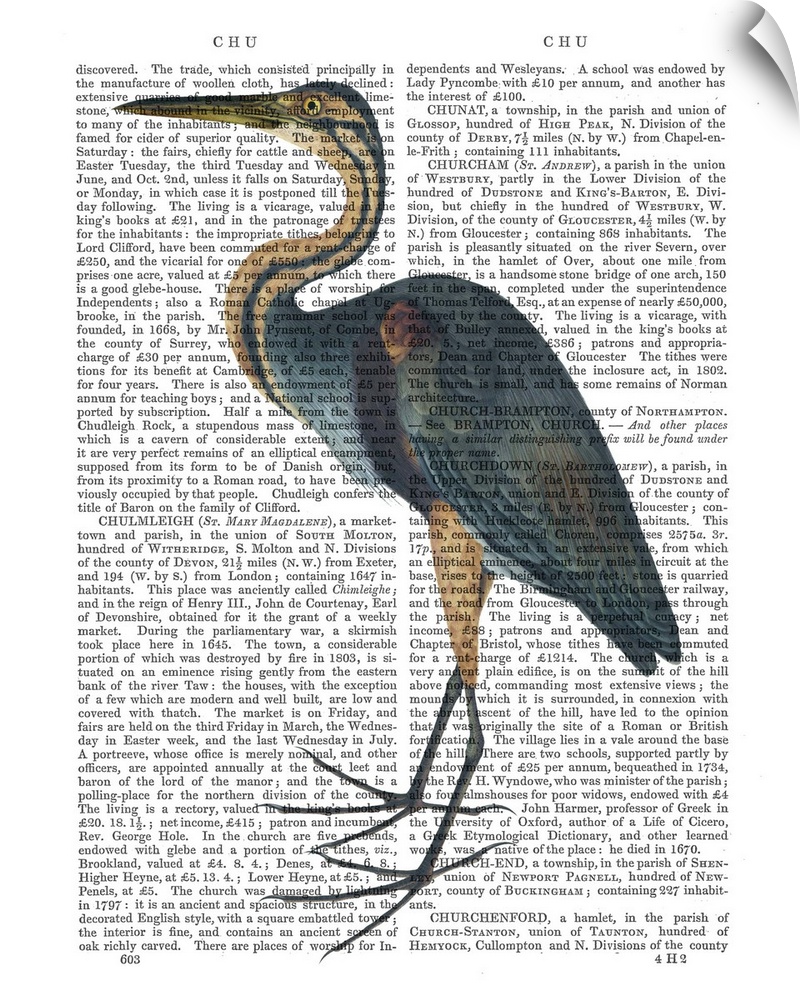 A heron painted over a vintage dictionary page.