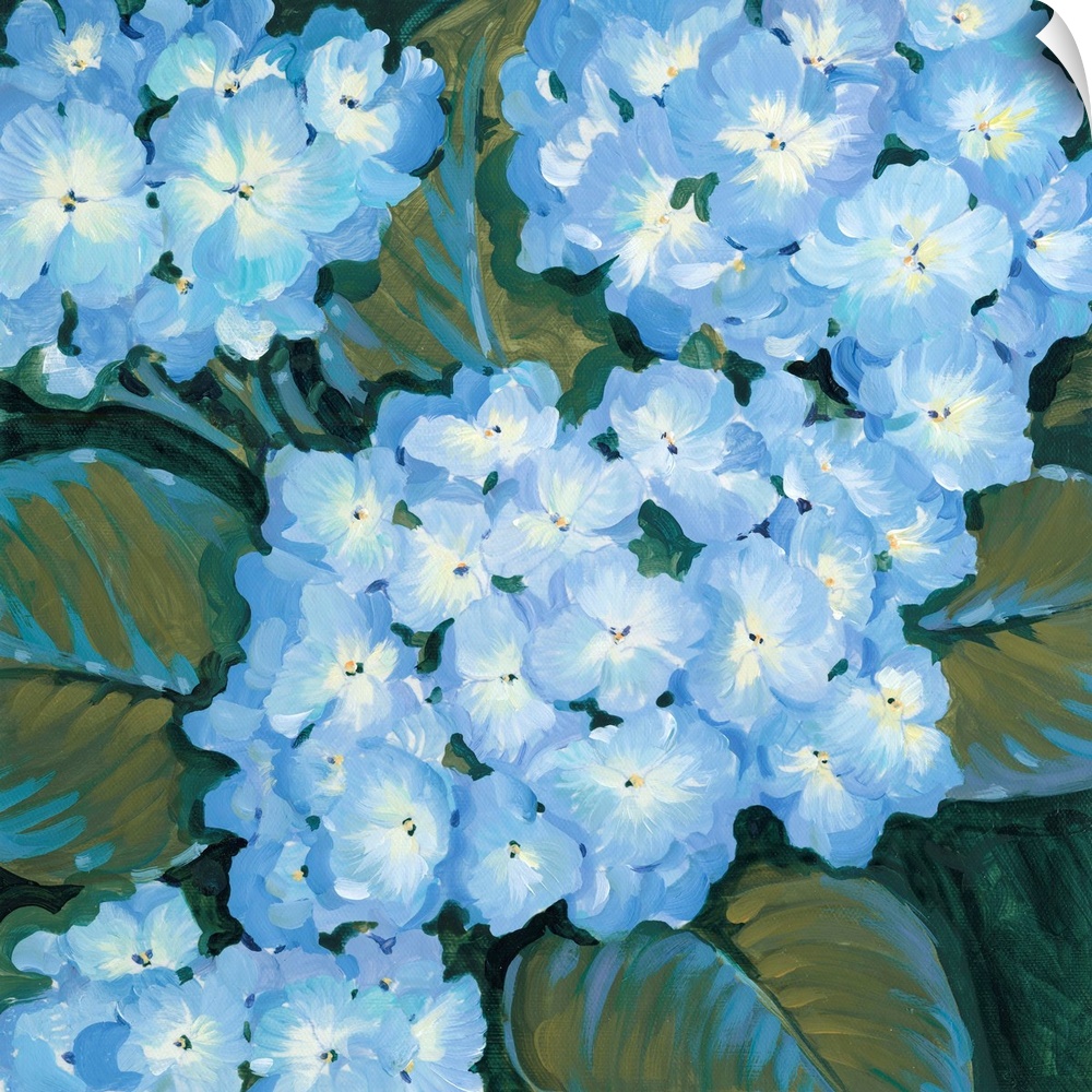 Painting of blue hydrangea flowers close-up.