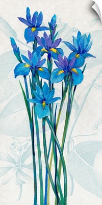 Blue Iris Panel I