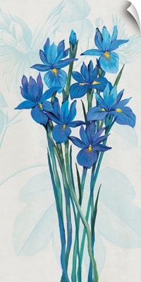 Blue Iris Panel II