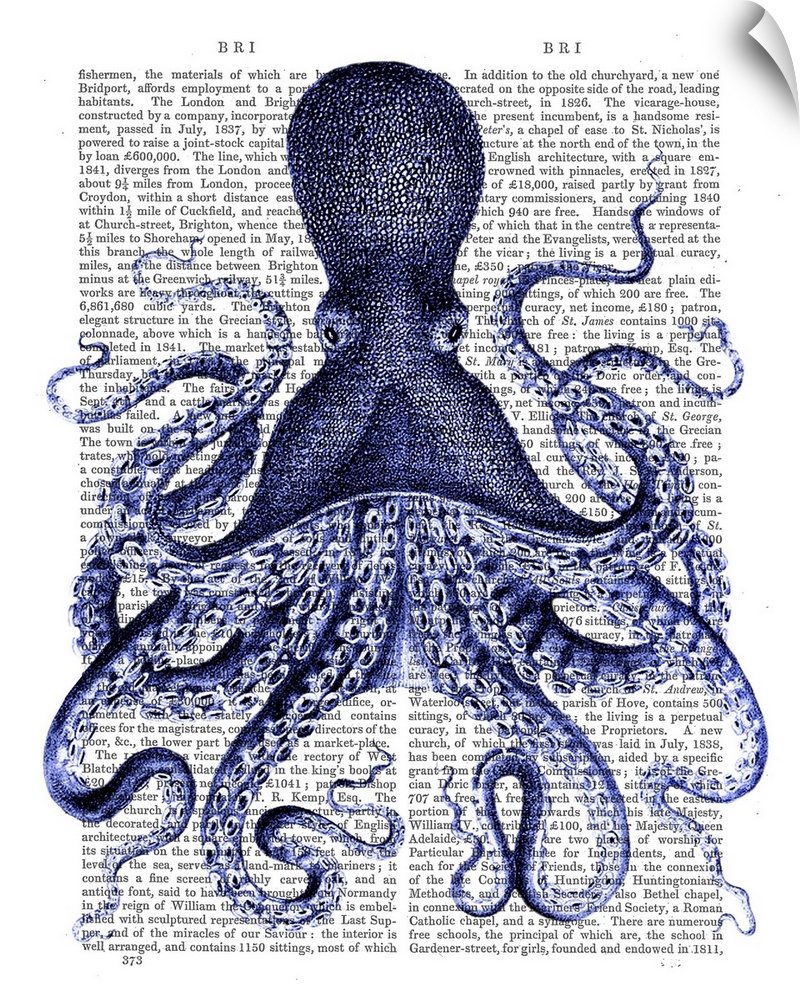 Blue Octopus III