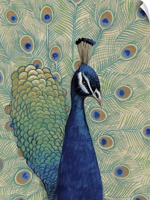 Blue Peacock I