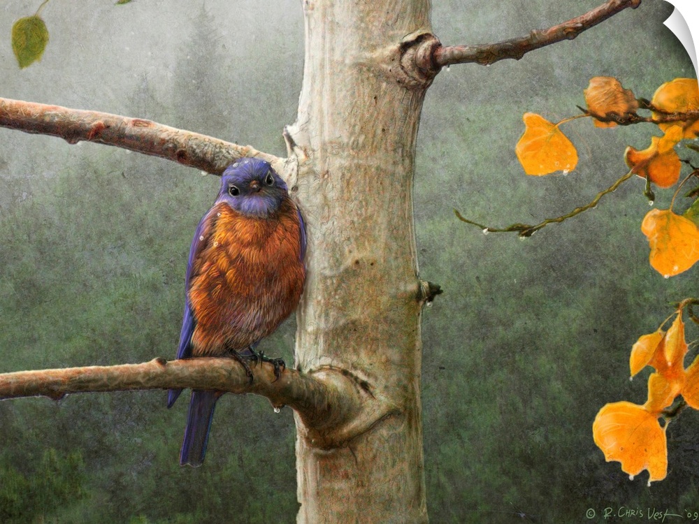Painting of a blue bird sitting on a tree branch with a dense and foggy forest in the background printed on canvas.