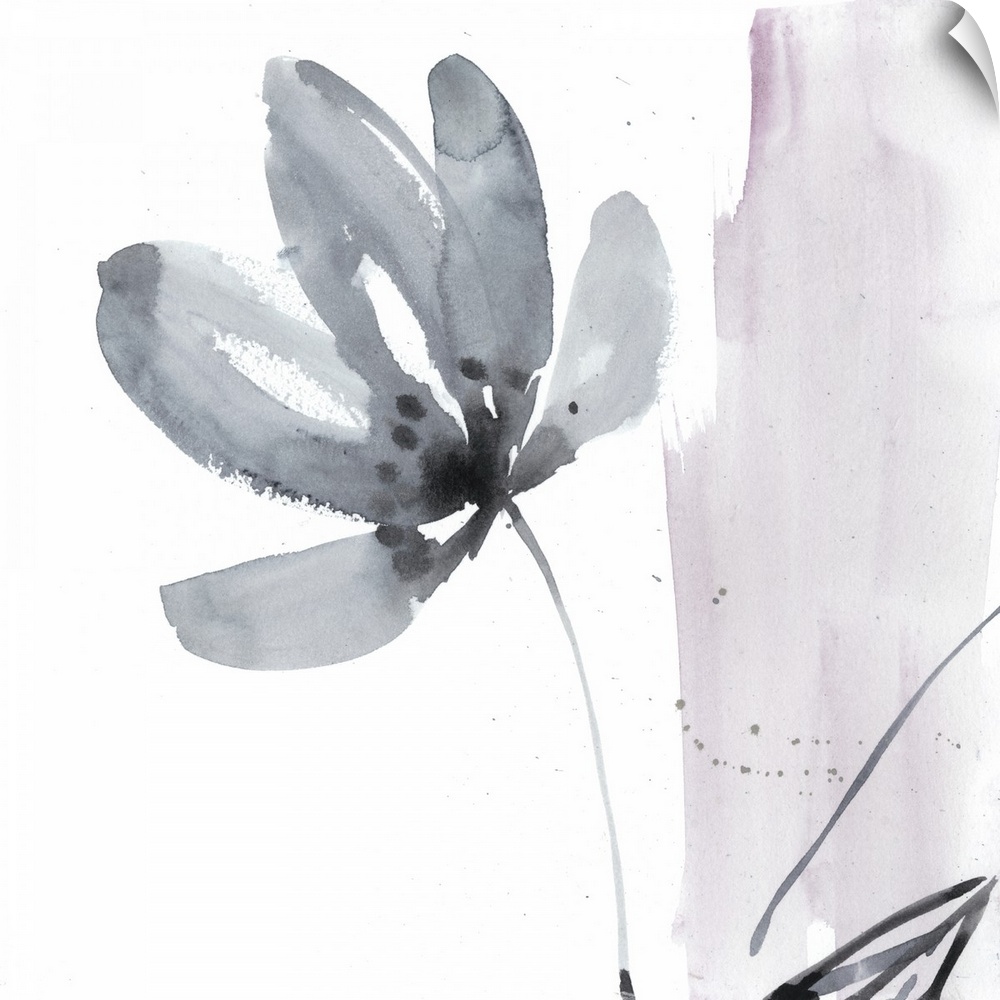 Square watercolor abstract of a gray flower with a stroke of pink on the right.