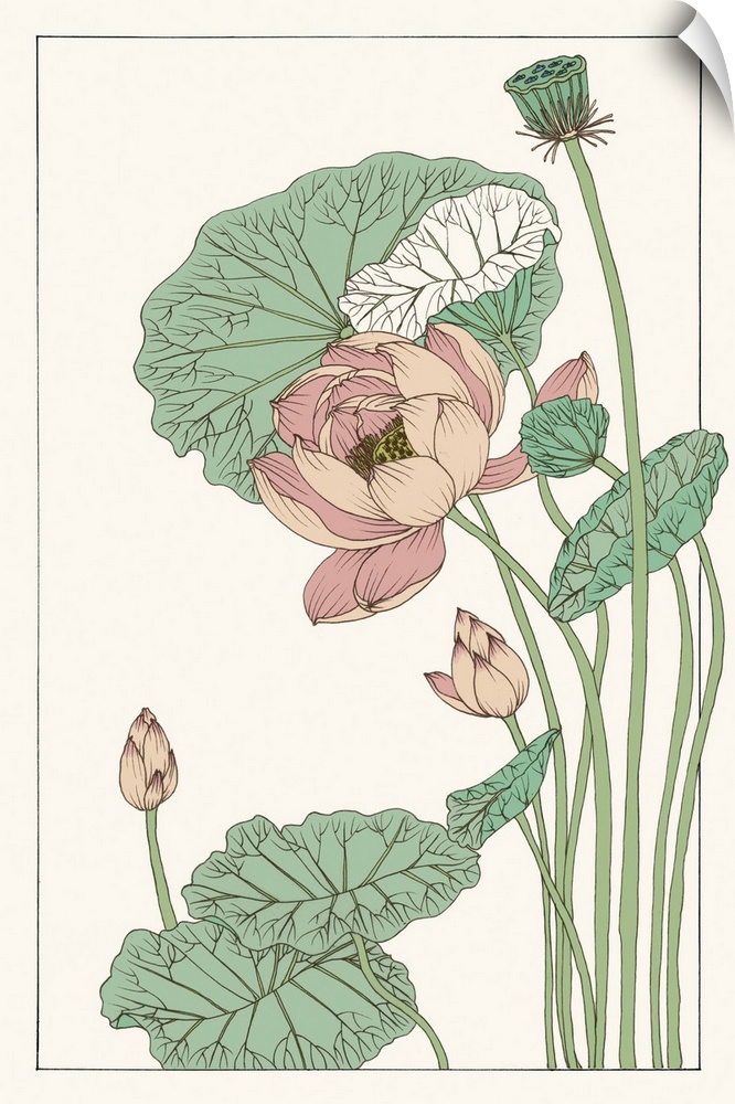 Vintage style illustration of long stemmed lotus blossoms and leaves.