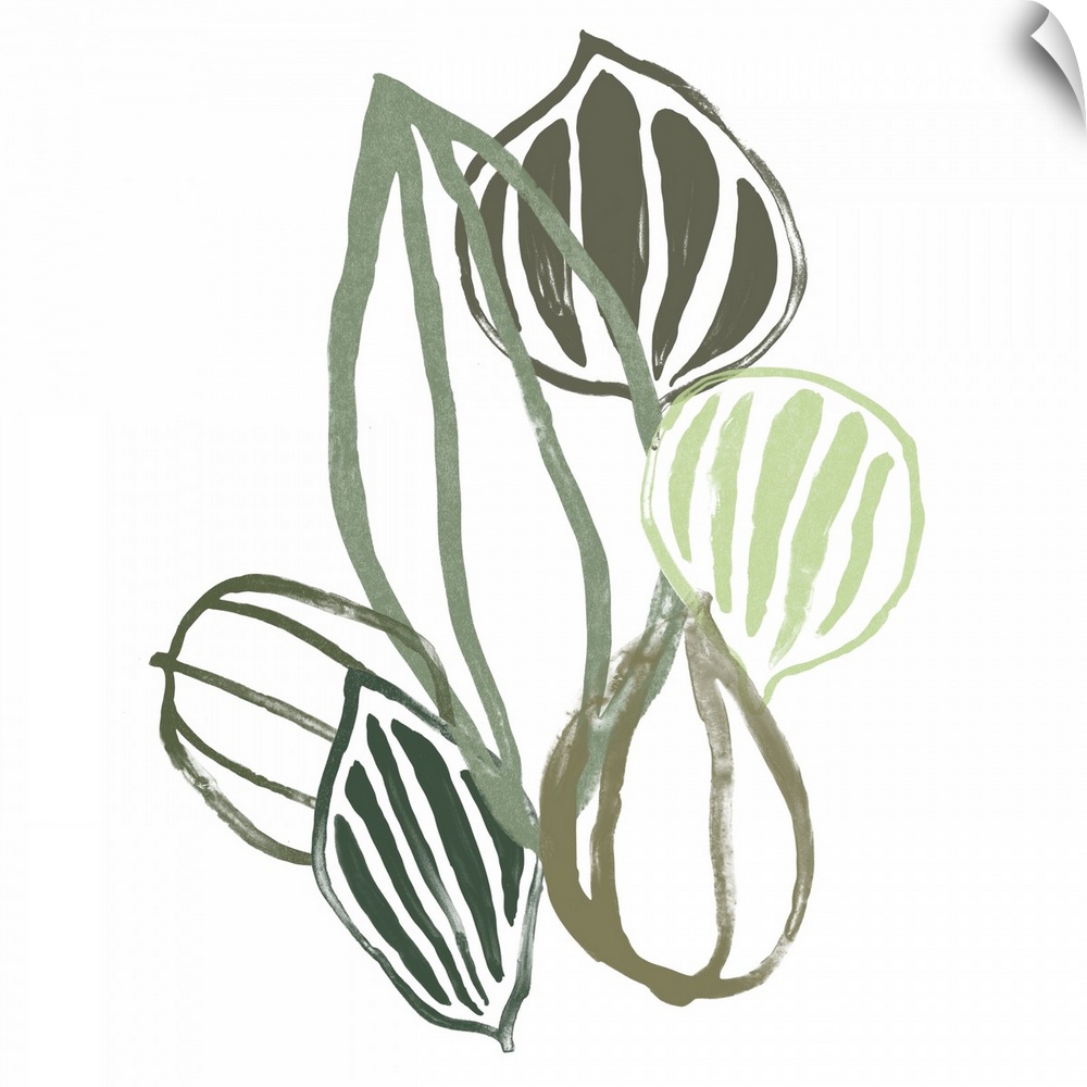 This contemporary artwork features soft painted lines in shades of green that form seedpods over a white background.