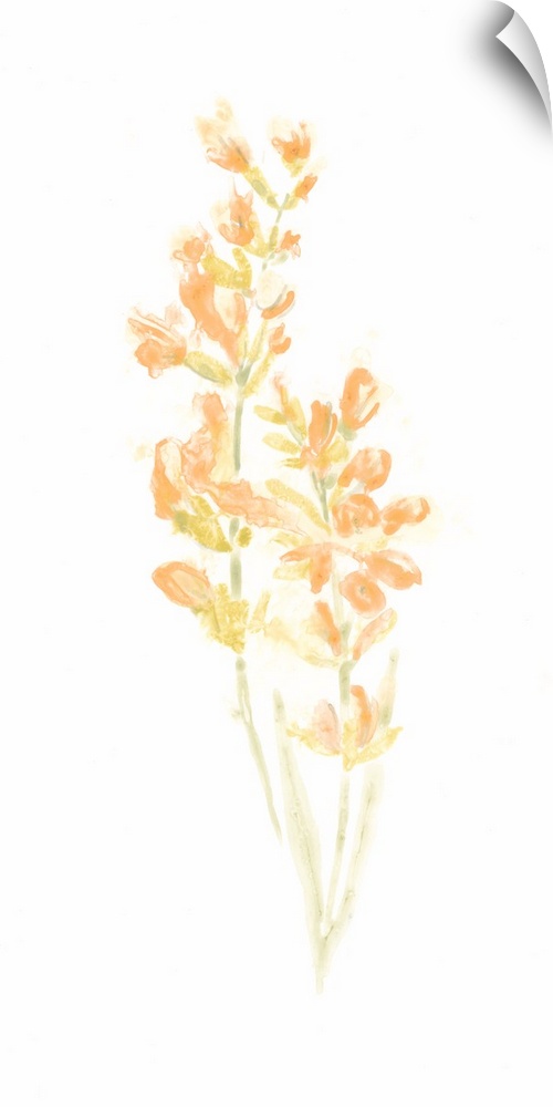 Simple watercolor artwork of a bouquet of flowers in bright orange shades.