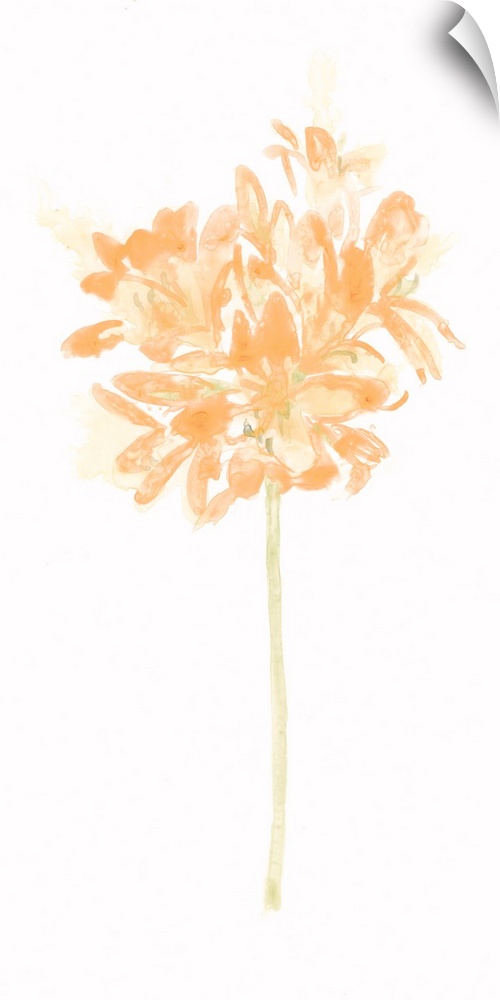 Simple watercolor artwork of a bouquet of flowers in bright orange shades.