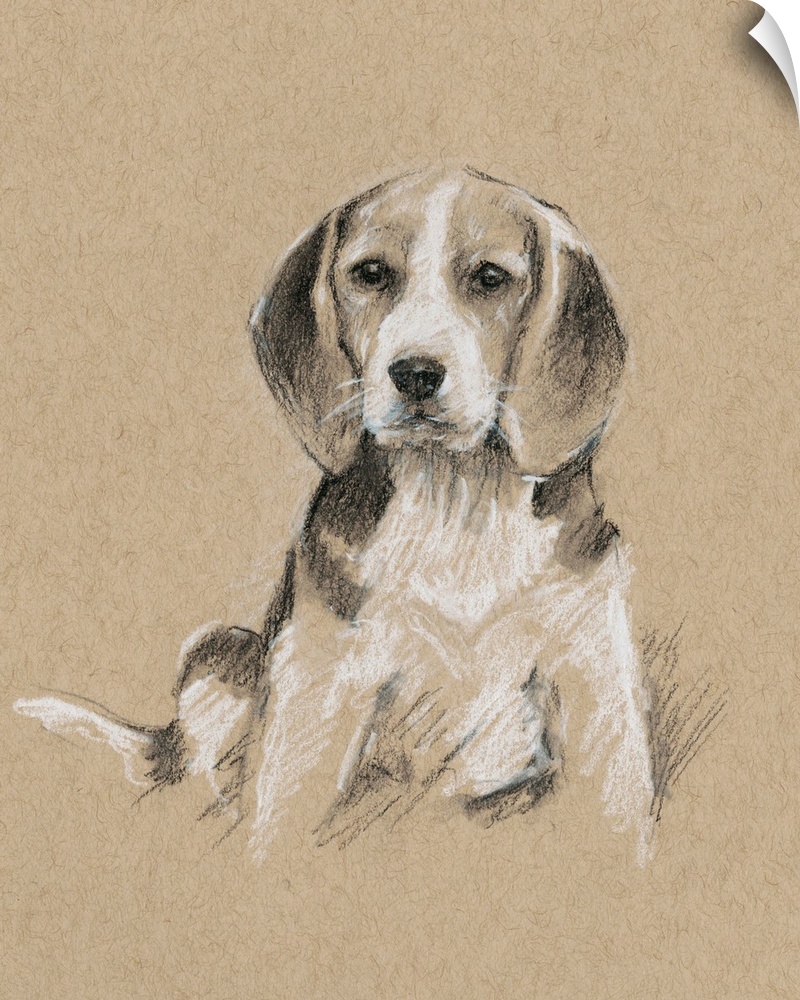 Contemporary illustration of a dog in sepia tones.