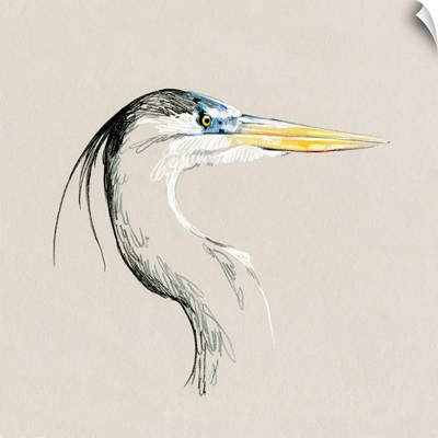 Bright Heron Sketch I
