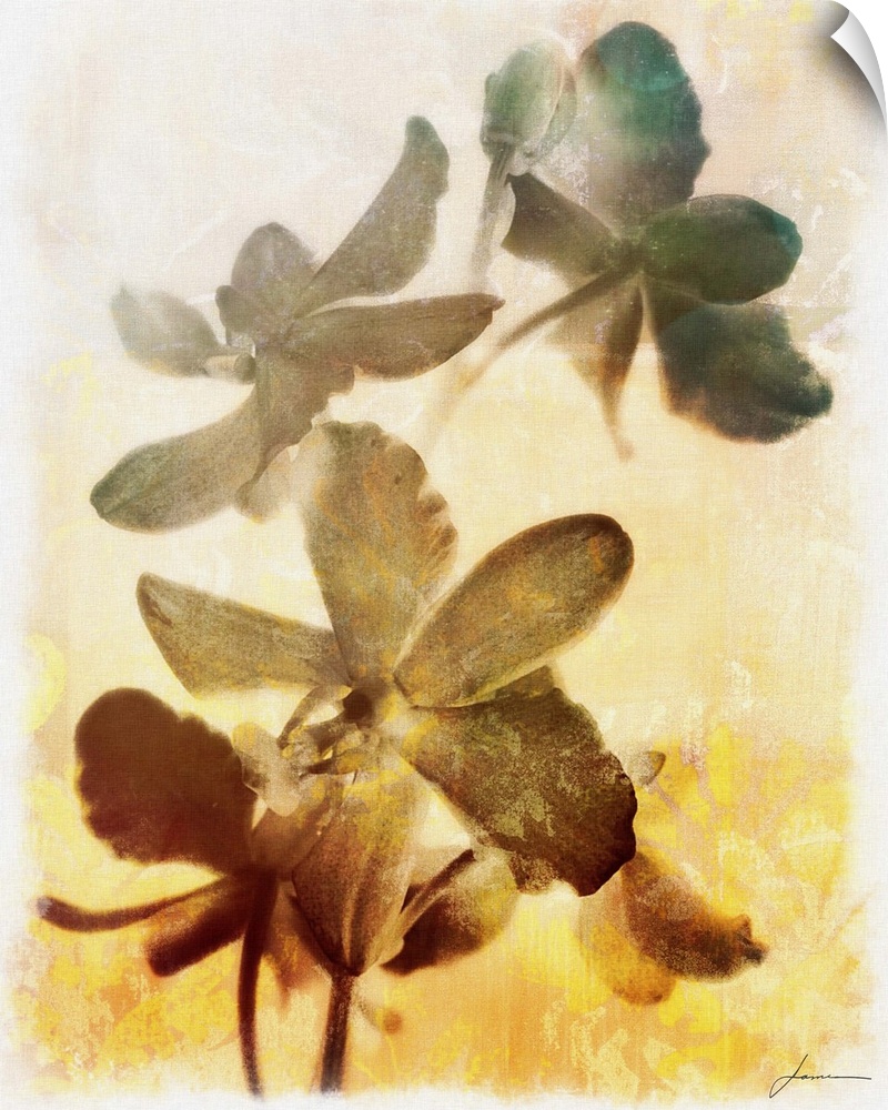 Contemporary artwork of dark washed out looking flowers against a pale floral patterned background.