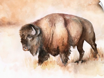 Buffalo Roam I