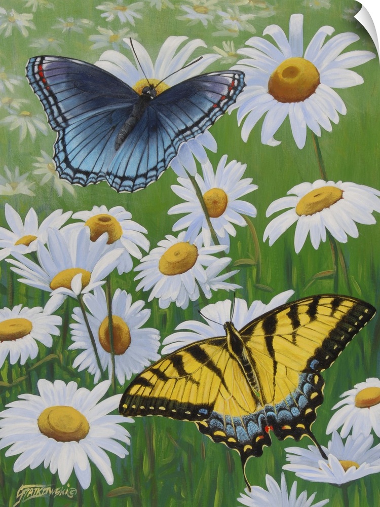 Contemporary painting of two swallowtail butterflies perching on daisy flowers.
