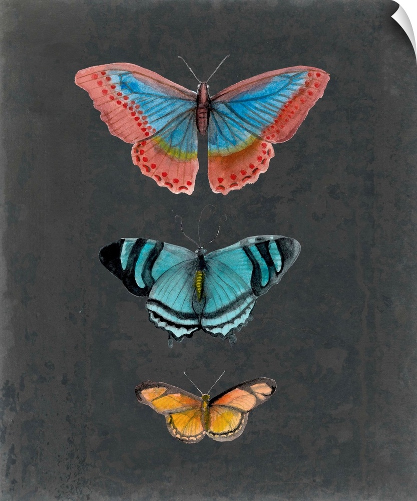 Butterflies on Slate III
