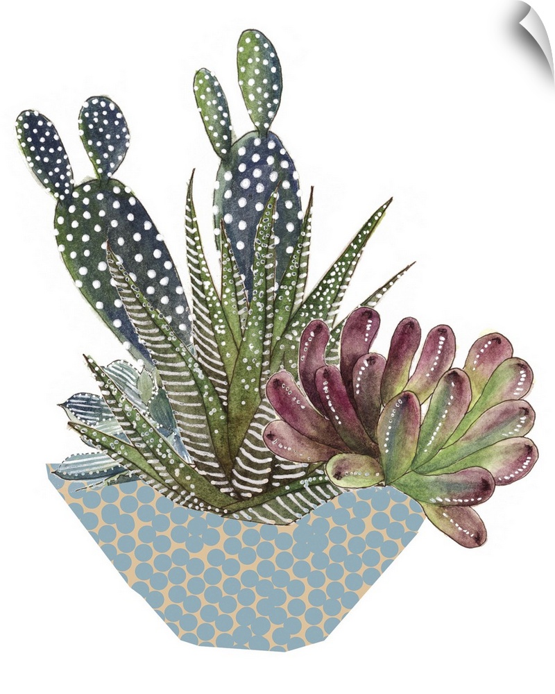 Illustration of an arrangement of cactus and succulent plants in a dotted bowl.