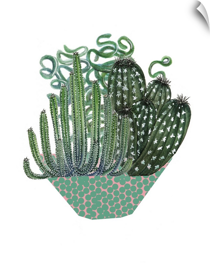 Illustration of an arrangement of cactus and succulent plants in a dotted bowl.