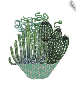 Cactus Arrangement II