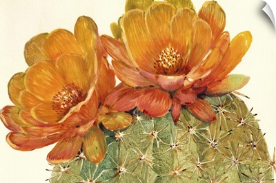 Cactus Blossoms II