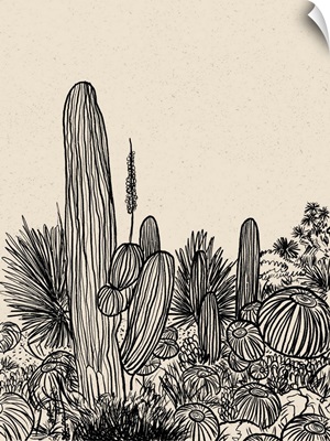 Cactus Drawing I
