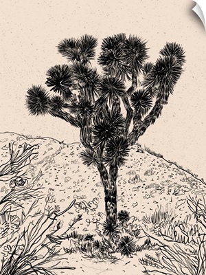 Cactus Drawing III