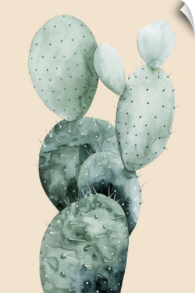 Watercolor painting of a cactus on a pale coral background.