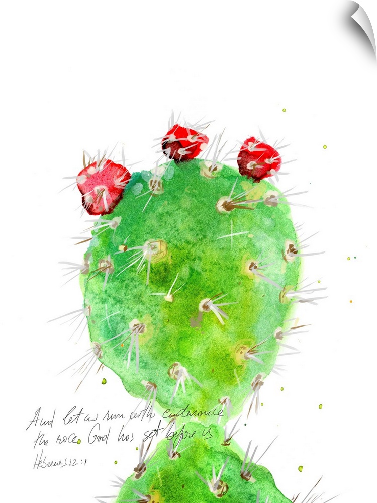 Cactus Verse IV