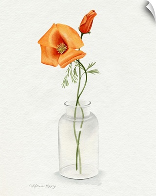 California Poppy Vase I
