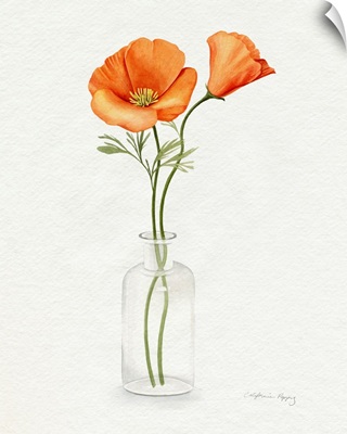 California Poppy Vase II