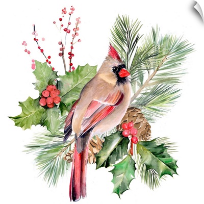 Cardinal Holly Christmas  II