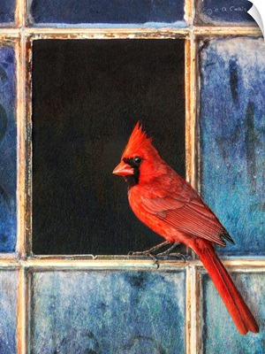 Cardinal Window