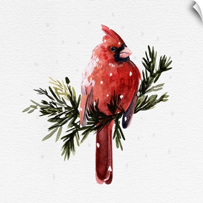 Cardinal With Snow I