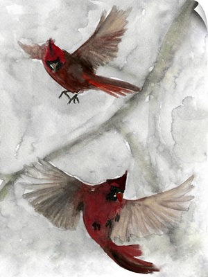 Cardinals I