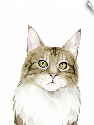 Cat Portrait IV