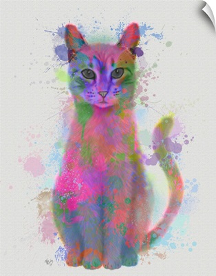 Cat Rainbow Splash 4