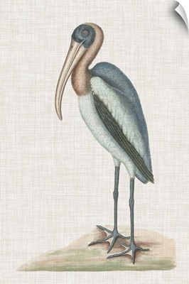 Catesby Heron IV