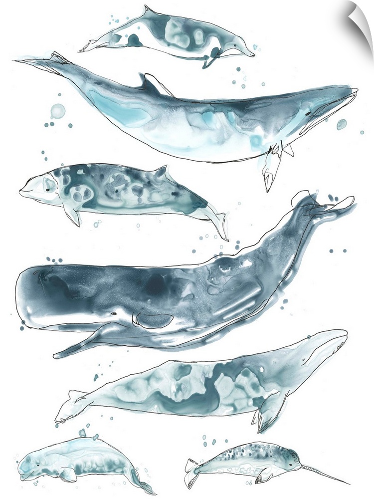 Fun contemporary watercolor drawing of whales in various shades of blue.