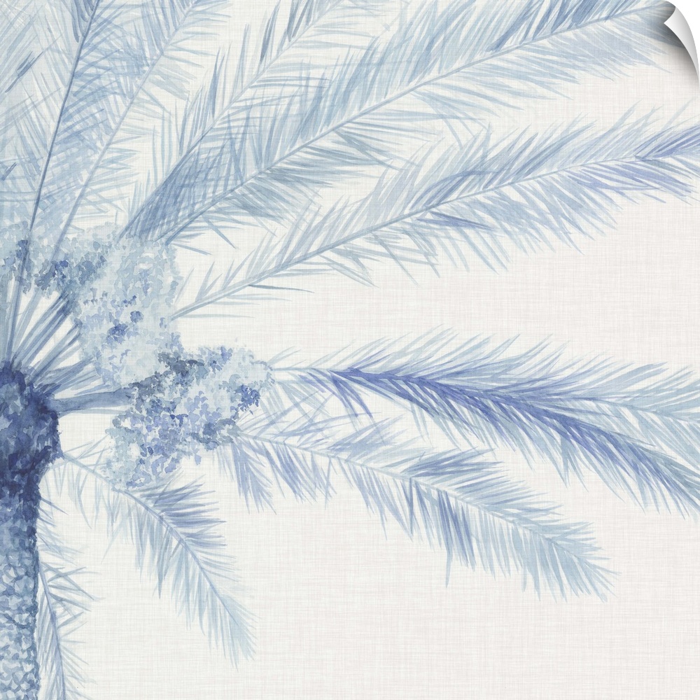 A blue palm split between two panels against a white background.