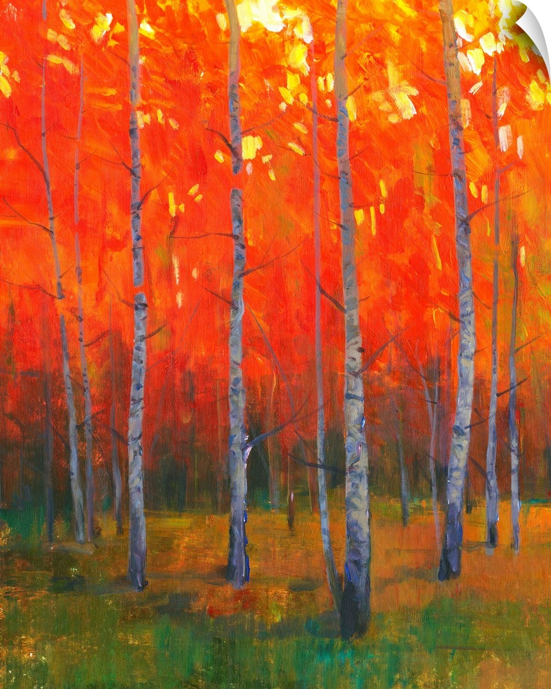Contemporary painting of a forest of thin trees with leaves glowing in the sunset light in the fall.