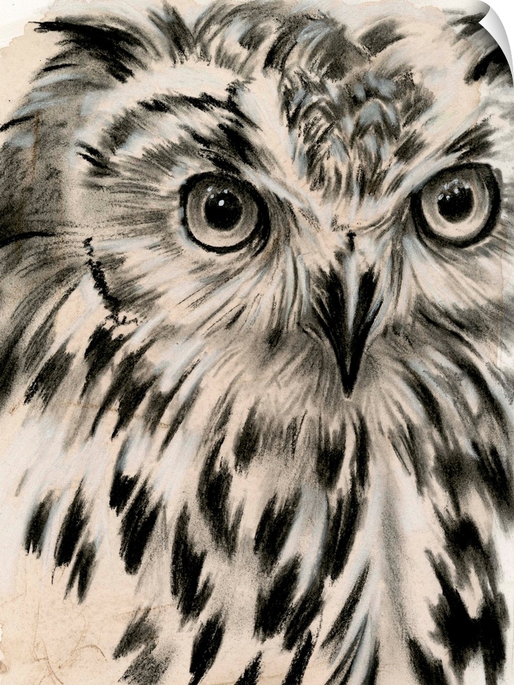 Charcoal Owl I