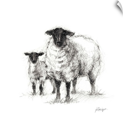 Charcoal Sheep Study I