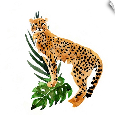 Cheetah Outlook II